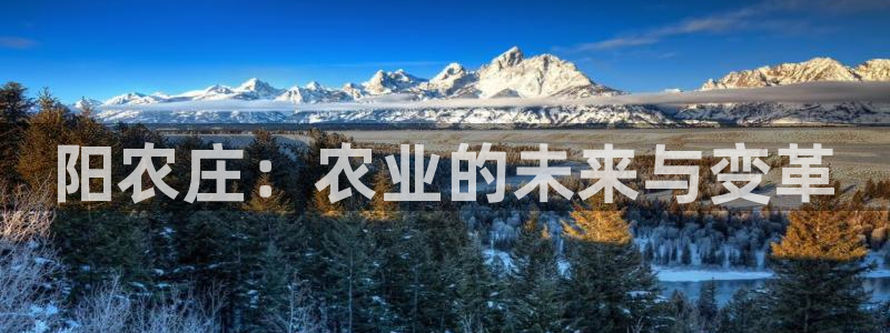 摩根娱乐开户总s管50015 18