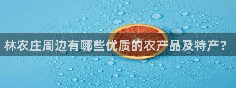 摩根国际娱乐宝在哪里