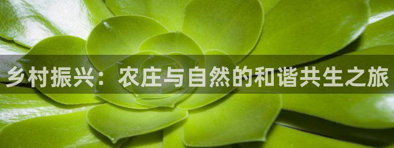 摩根转型娱乐的视频