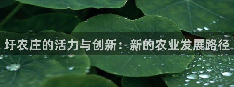 摩根娱乐是骗局吗?