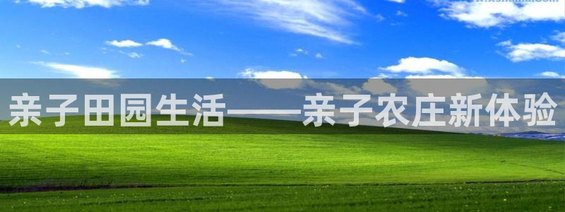 摩根娱乐宝平台下载