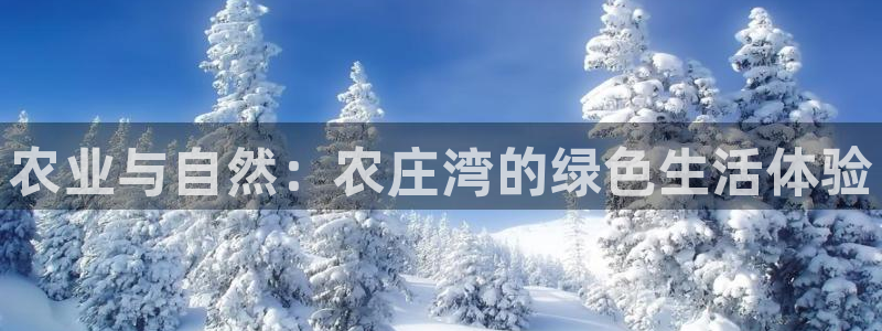 摩根中央公园娱乐