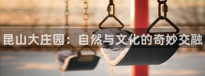 摩根娱乐宝官网