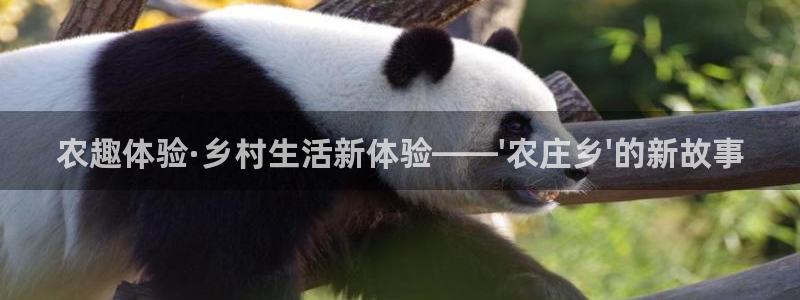 摩根娱乐老lb板50820