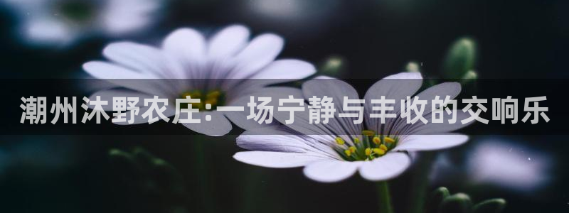 摩根娱乐 1老j板50820