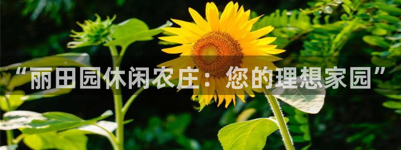 泉州摩根娱乐会所
