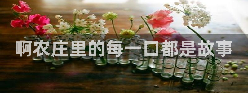 摩根娱乐