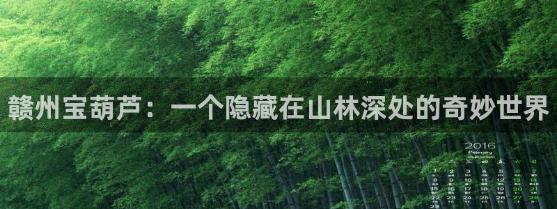 摩根娱乐视频大全