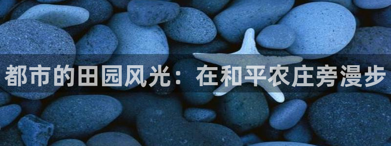 摩根大通旗下娱乐公司