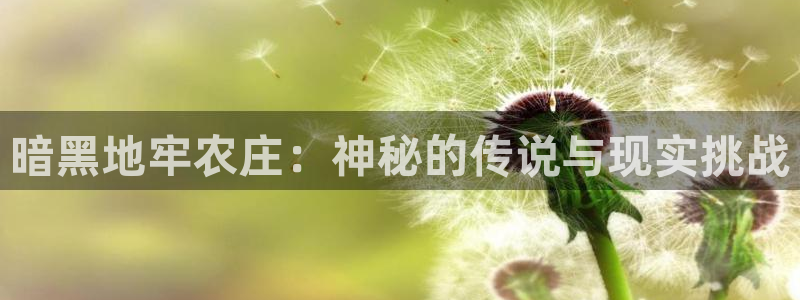 泉州摩根会娱乐有限责任公司管理