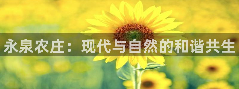 玩摩根娱乐宝亏了三千
