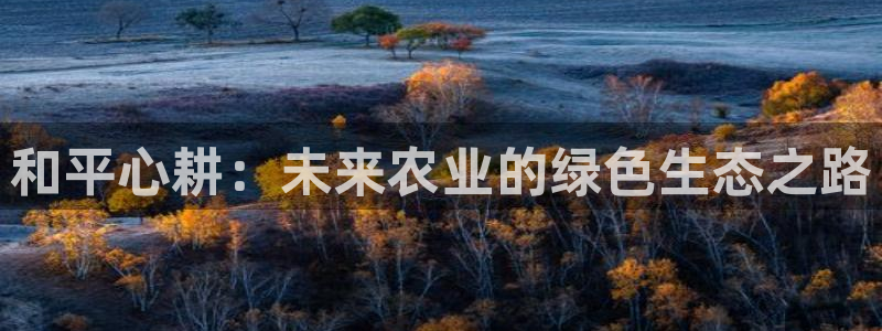 摩根餐饮娱乐