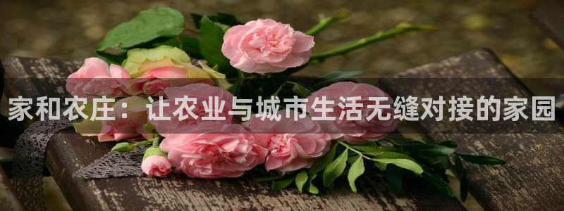 摩根娱乐宝老上不去啊