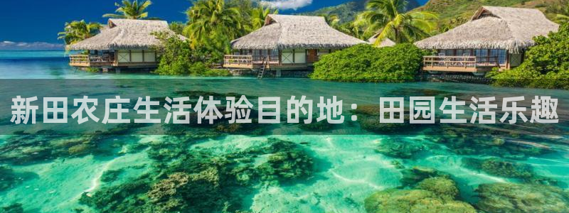 摩根娱乐这个平台怎么样