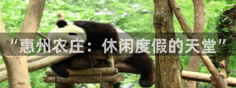 漳州摩根会娱乐