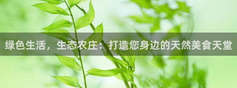 摩根娱乐宝与
