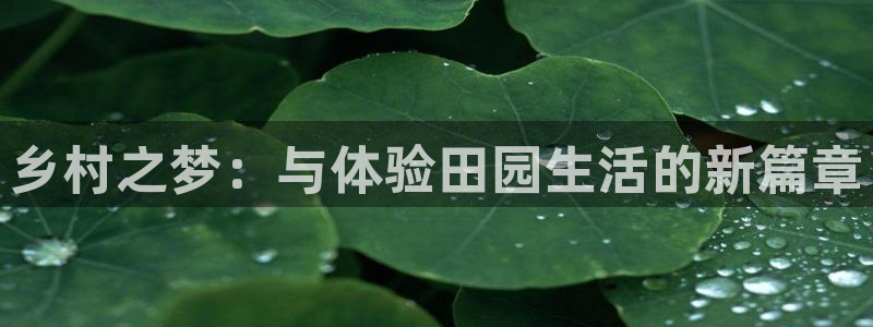 白宫摩根娱乐场所