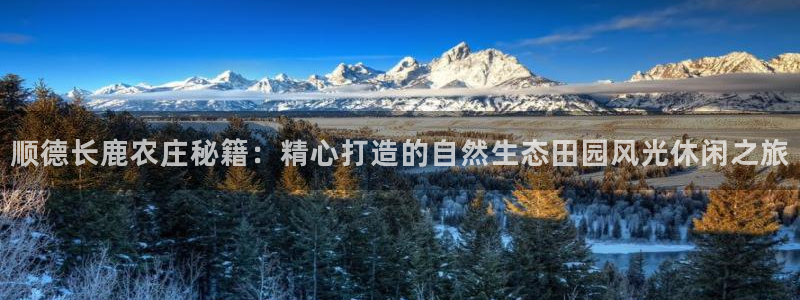 深圳摩根时代娱乐公司
