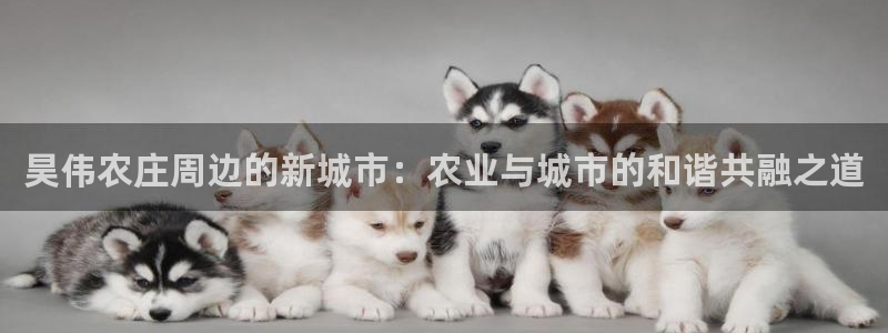 摩根娱乐宝微信客服