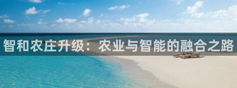 摩根娱乐宝怎么下载