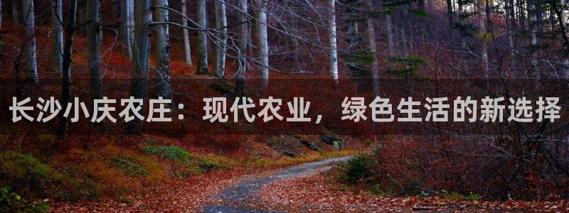 摩根娱乐50186联系