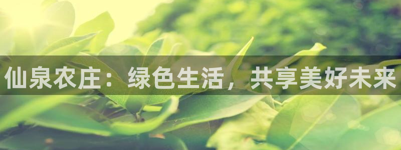 义务摩根娱乐会所