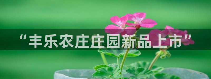 摩根娱乐宝怎么玩