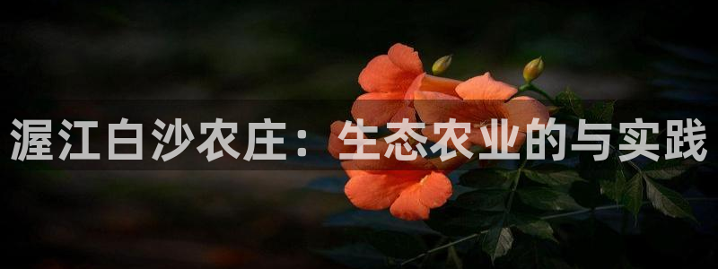 义乌市摩根娱乐厅