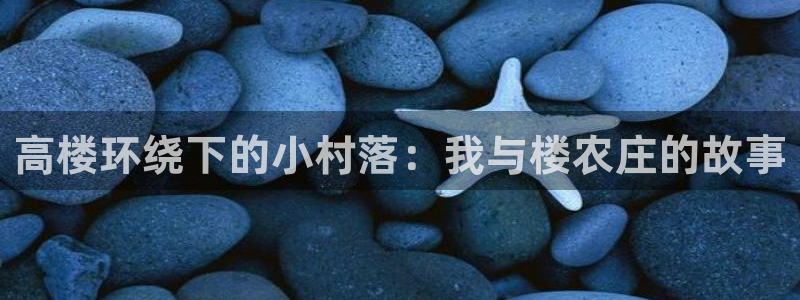 摩根娱乐宝机构代码