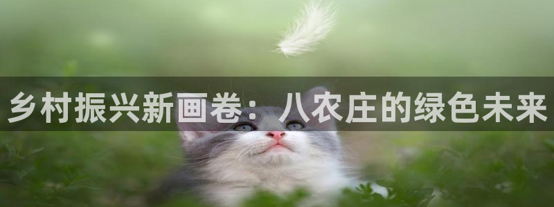 摩根娱乐宝。知道吗