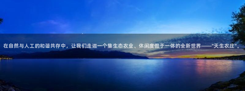 摩根娱乐金光