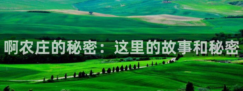 义乌摩根娱乐会所消费