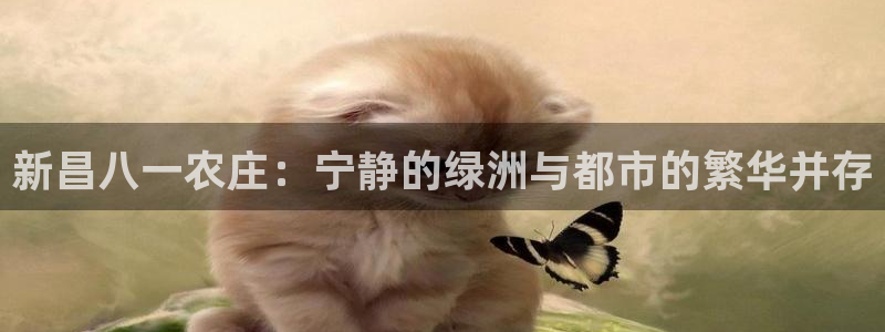 摩根娱乐宝教程