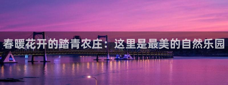 芜湖摩根一百有哪些娱乐