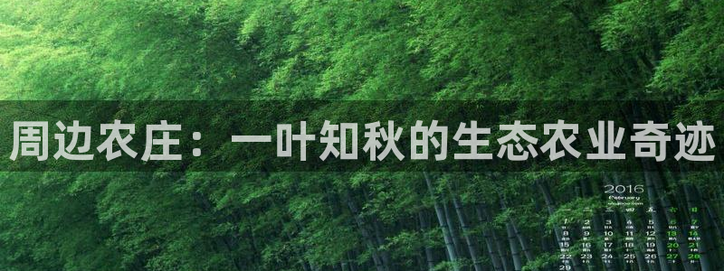 摩根国际娱乐会所