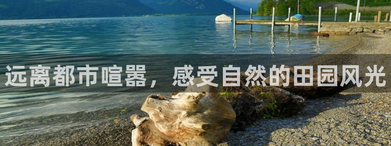 摩根转型娱乐的视频