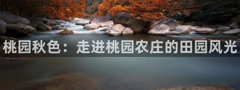 摩根娱乐团
