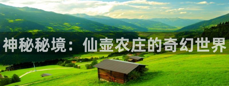 摩根娱乐宝 怎么样