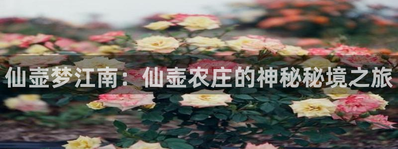 摩根大通黄金娱乐目标价
