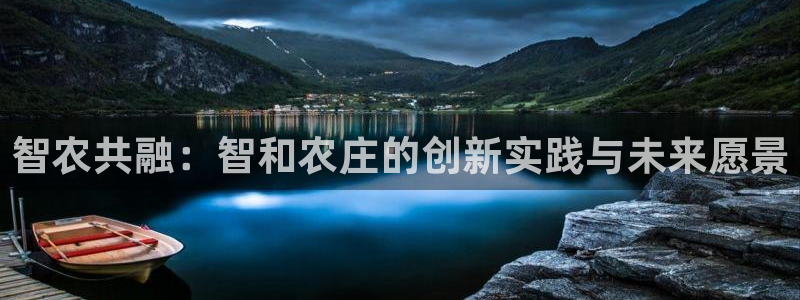 摩根娱乐公司