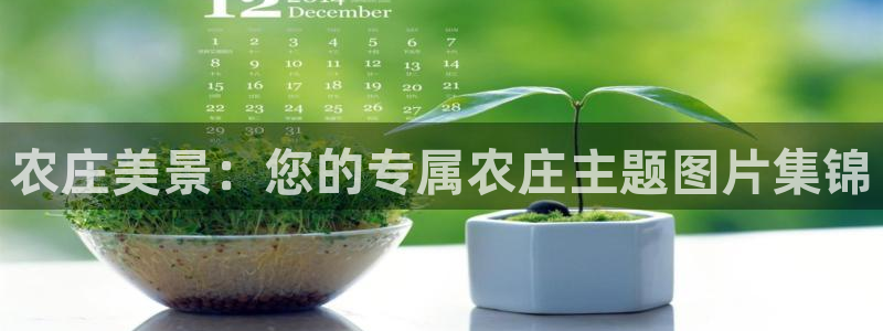 摩根大通旗下娱乐公司