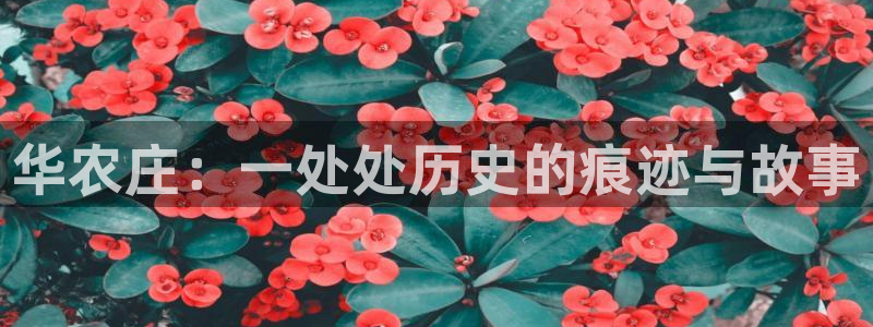 摩根娱乐信益怎么样