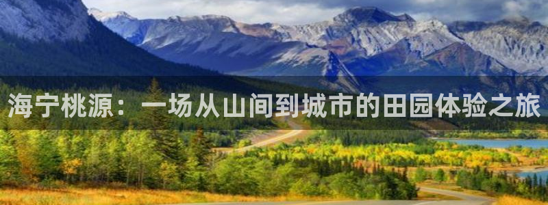 主角是摩根家族的娱乐文