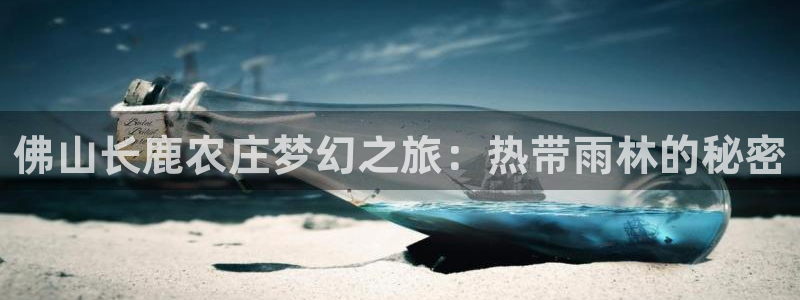 摩根娱乐团