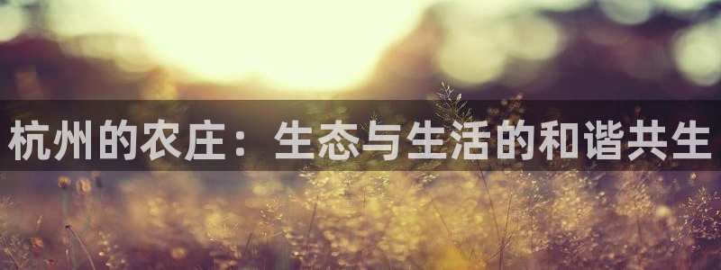 摩根娱乐50186叩杨