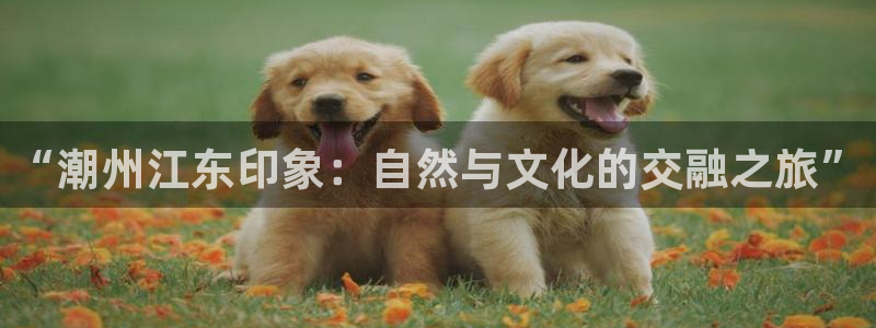 摩根娱乐宝平台