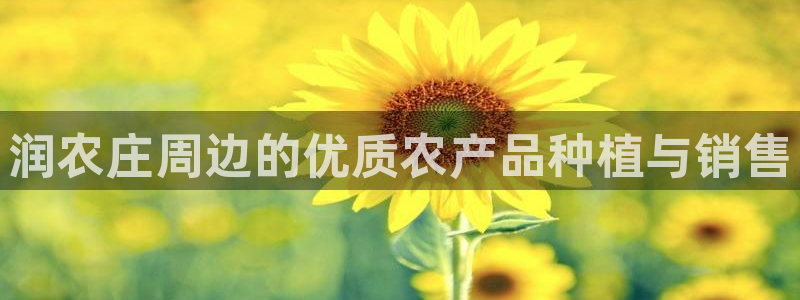 摩根娱乐宝骗局