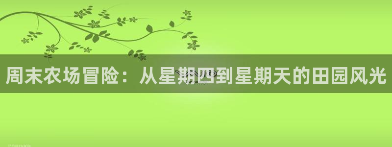 摩根兄弟进军娱乐圈