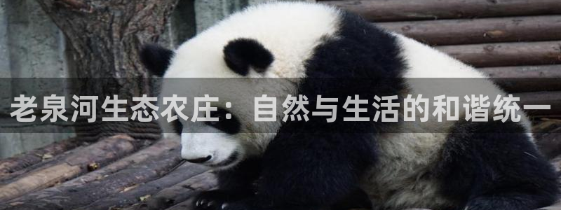 摩根娱乐宝是什么意思