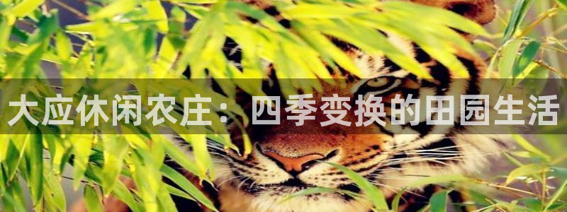 浙江义乌摩根娱乐场所
